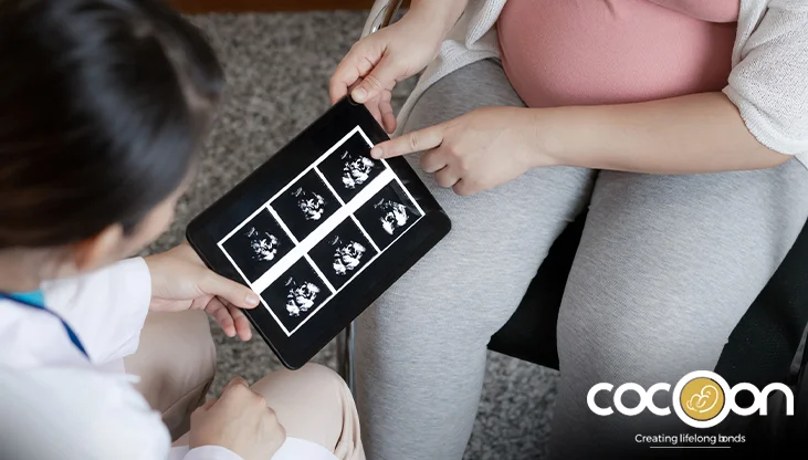 Fetal Weight Chart: Understanding Baby's Growth During Pregnancy